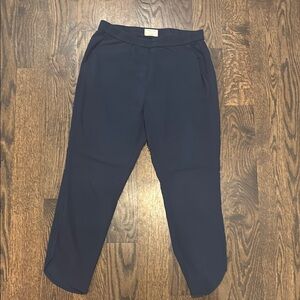 Marine Layer Navy Blue Casual Pants